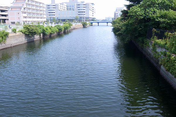 1008162 RIMG2073.jpg